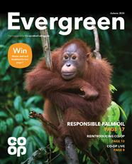 Evergreen - Autumn 2024