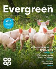 Evergreen - Spring 2026